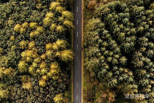 高清摄影 空中俯瞰一条被树木环绕的道路
