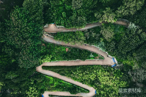 高清摄影 一条蜿蜒穿过森林的小路