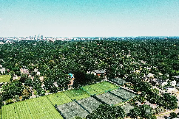 高清摄影 白天的航拍照片显示了绿树和建筑物。