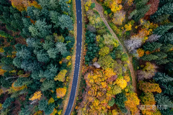 高清摄影 一条被树木环绕的道路的俯瞰图