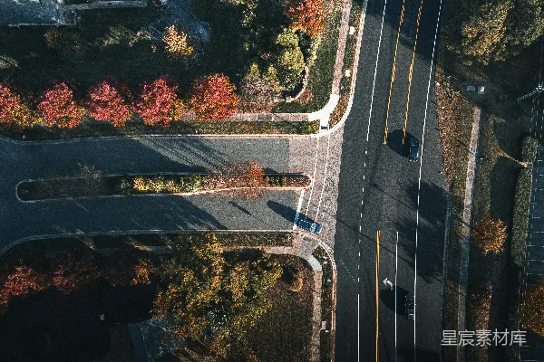 高清摄影 一幅城市景象，树木和道路交织其中。