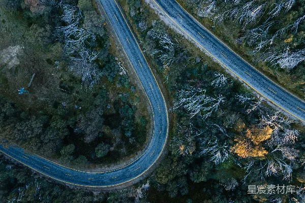 高清摄影 树木中间的公路俯瞰图