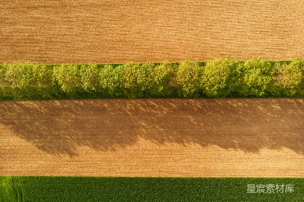 高清摄影 一片绿色植物的田野