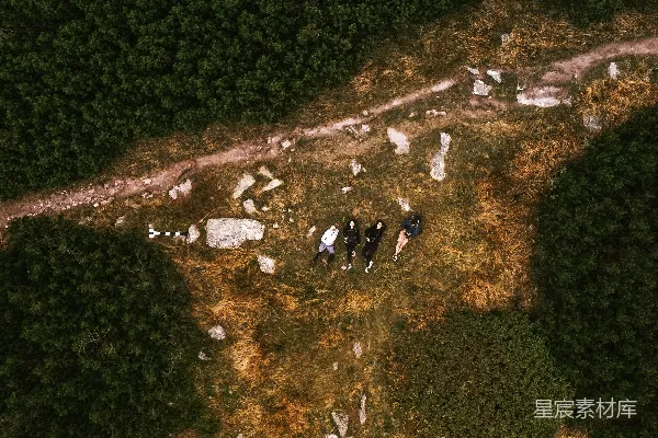 高清摄影 空中俯瞰一片绿色树木和草地的景观