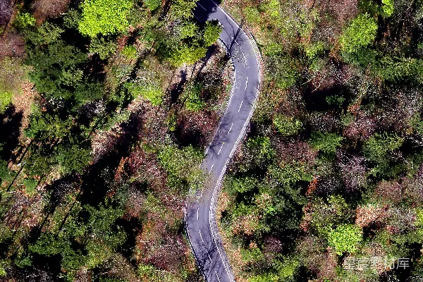 高清摄影 绿树丛中的道路俯瞰图