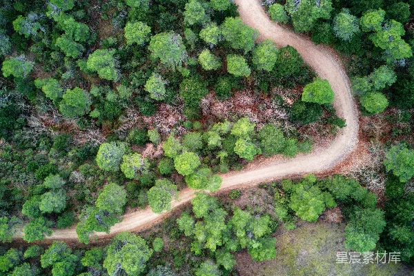 高清摄影 森林中间一条道路的空中俯瞰图