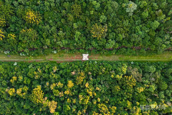 高清摄影 森林中间的公路俯瞰图