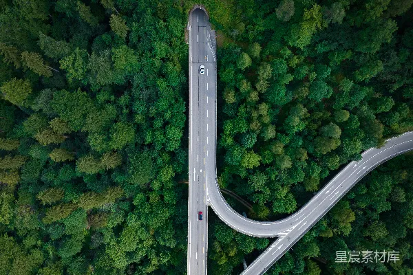 高清摄影 一条两旁有树木的道路