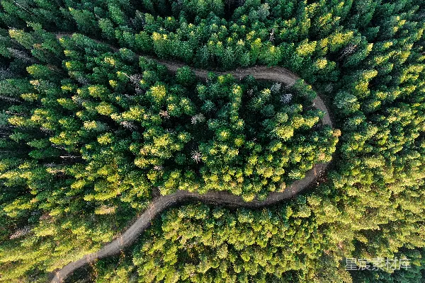 高清摄影 空中俯瞰绿树的景象