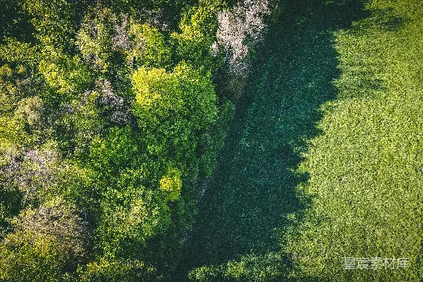 高清摄影 绿色草地和树木
