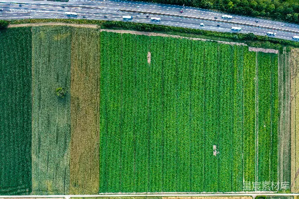 高清摄影 空中俯瞰绿意盎然的农田和道路。