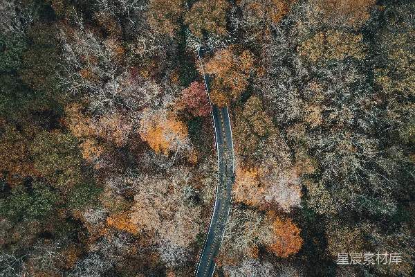 高清摄影 树木中间的道路鸟瞰图