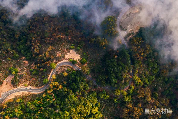 高清摄影 一条蜿蜒的道路从空中俯瞰，两旁环绕着树木。