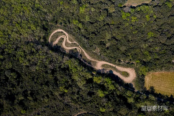 高清摄影 航拍绿色森林中的道路