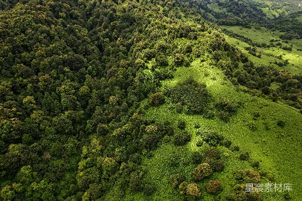 高清摄影 白天的绿草覆盖的小山