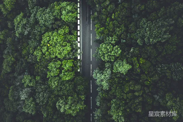 高清摄影 森林中央的公路俯瞰图