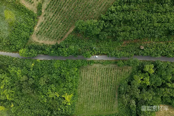 高清摄影 在蜿蜒的道路上，汽车被绿色的田野环绕着。