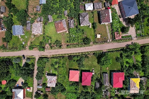 高清摄影 空中俯瞰房屋和树木