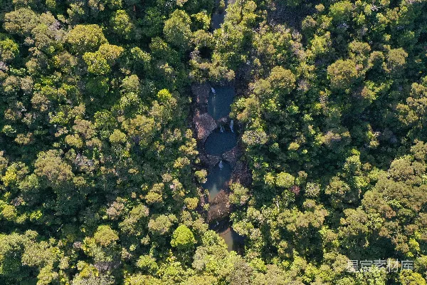 高清摄影 鸟瞰森林中间的公路