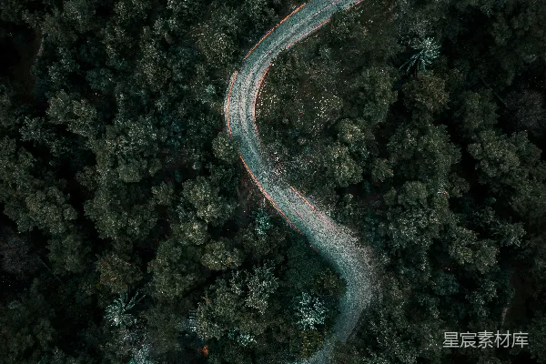 高清摄影 在树木中间的公路俯瞰图