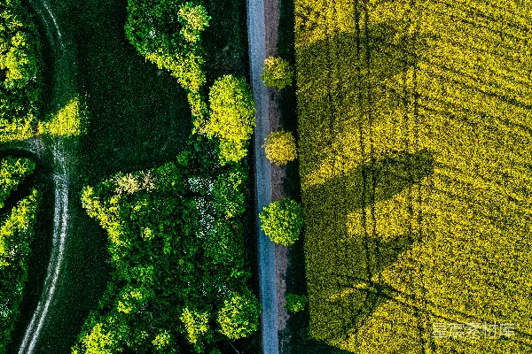 高清摄影 穿过绿野和树木的空中俯瞰公路