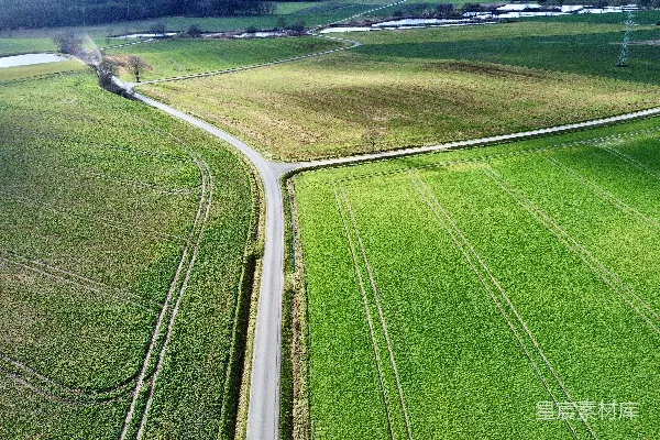 高清摄影 一幅道路穿越绿野的空中俯瞰图