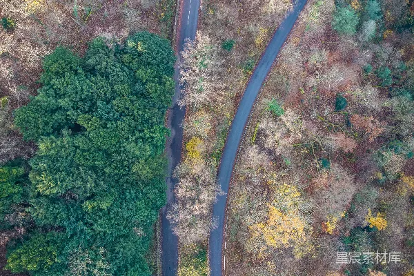 高清摄影 秋季森林中蜿蜒道路的航拍视角