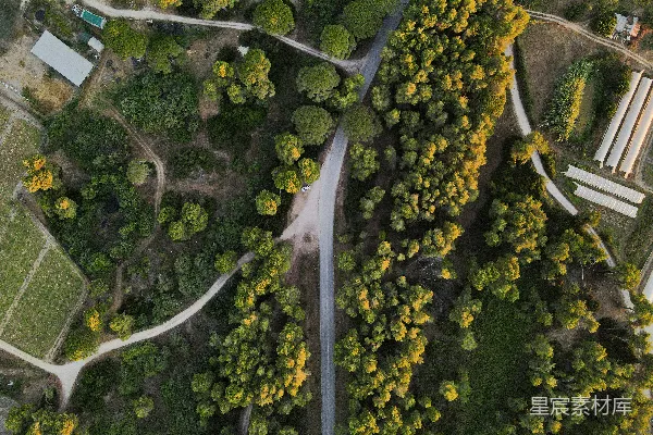 高清摄影 森林中一条道路的俯瞰图。