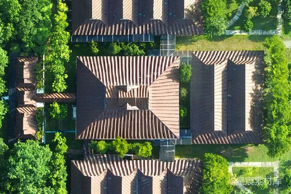 高清摄影 从上向下看，一栋建筑物及其周围的树木。