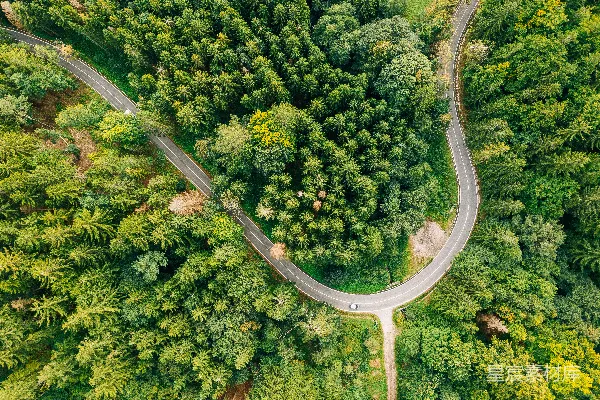 高清摄影 松树和道路的俯视摄影