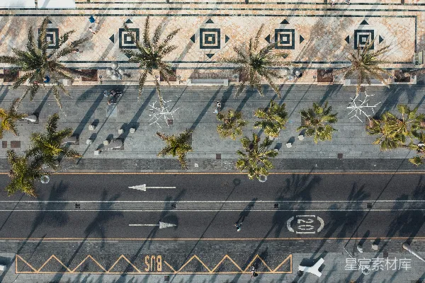 高清摄影 空中俯瞰街道，两旁是棕榈树。