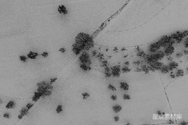 高清摄影 雪地鸟瞰图，散落着几棵树。