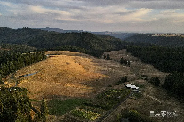 高清摄影 白天多云天空下的绿色和棕色草地