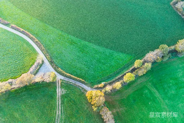 高清摄影 空中俯瞰一条蜿蜒穿过绿色田野的道路。