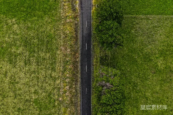 高清摄影 白天的绿草地