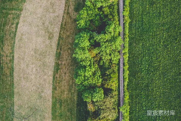 高清摄影 白天的绿草地