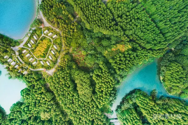 高清摄影 白天水边绿树的空中俯瞰