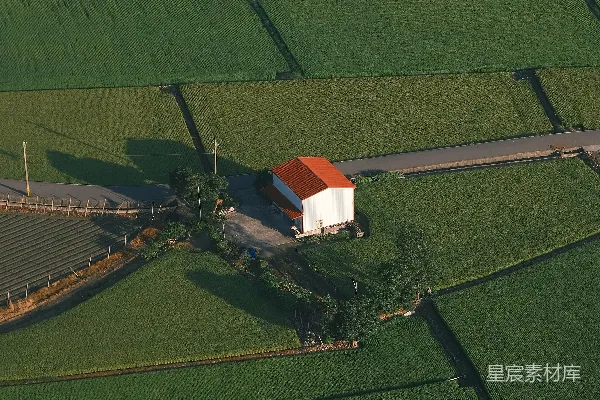 高清摄影 俯瞰翠绿的农田，可以看到建筑物和道路。