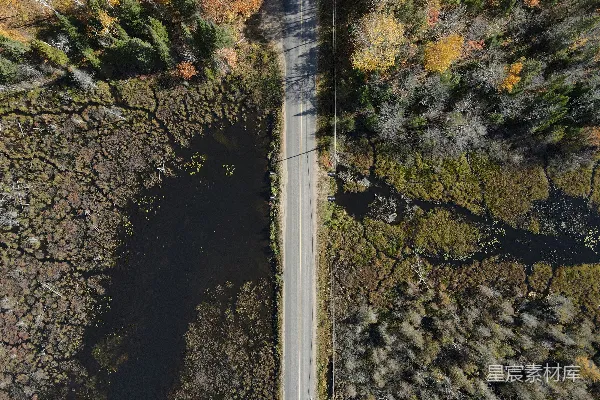 高清摄影 道路在树木之间俯瞰视角