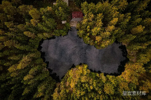 高清摄影 心形湖的俯瞰图，周围是树木。