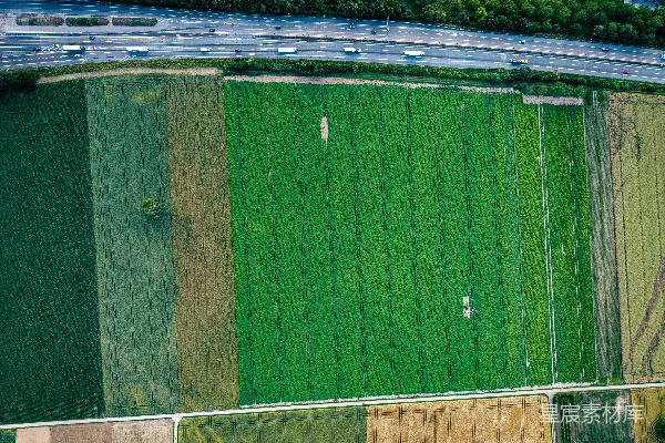 高清摄影 空中俯瞰绿色的农田和一条高速公路。