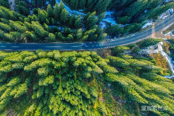 高清摄影 空中俯瞰一条被树木环绕的道路。