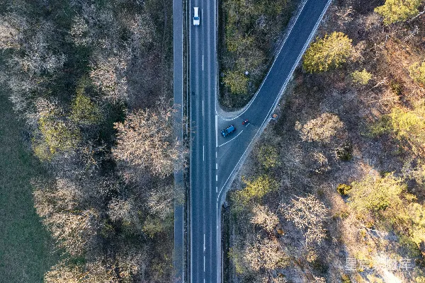 高清摄影 一条有树木和草地的道路
