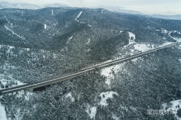 高清摄影 白天树木间的道路俯瞰图