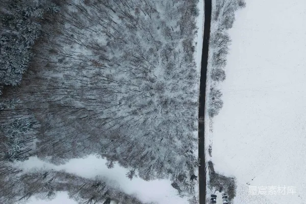 高清摄影 雪覆盖的森林和道路的空中俯瞰图