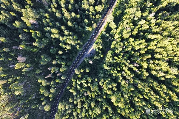 高清摄影 一条铁路轨道穿过茂密的森林的俯瞰图