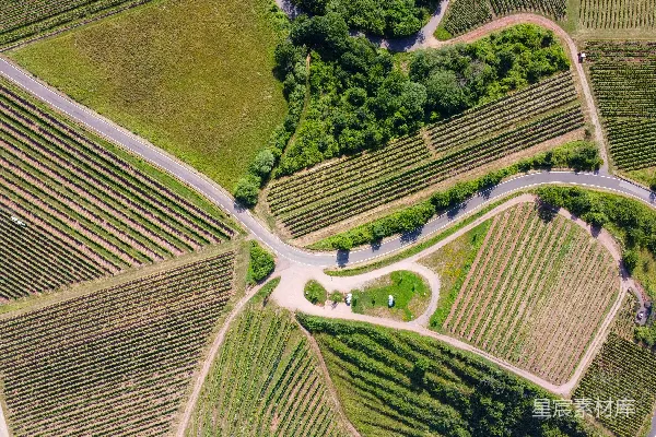 高清摄影 空中俯瞰绿树和道路的景象
