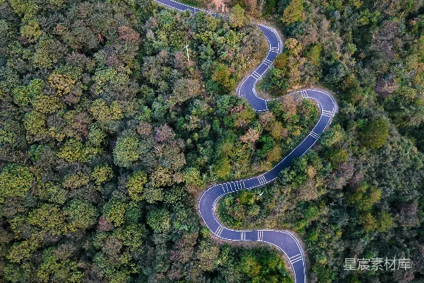 高清摄影 蜿蜒的道路穿过一片郁郁葱葱的森林