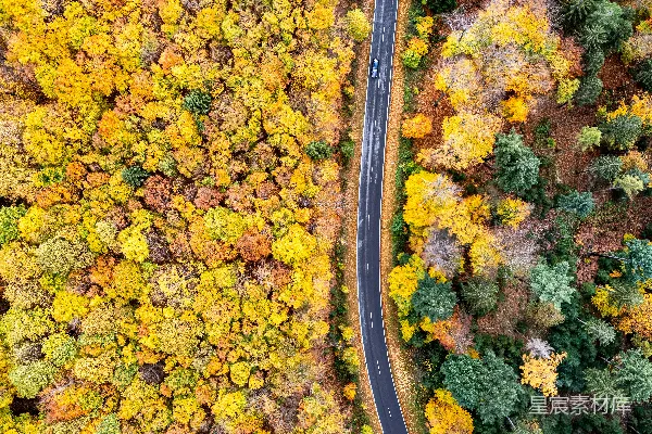 高清摄影 一条被树木环绕的公路的俯瞰图