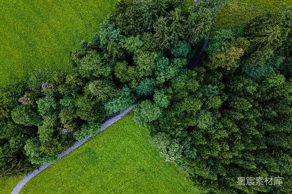 高清摄影 白天的绿草地